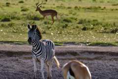 DSCF7024