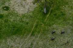 DSCF7161