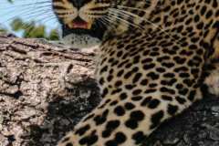 DSCF8841