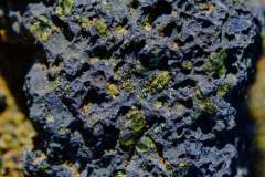 DSCF5996