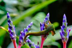 DSCF6104