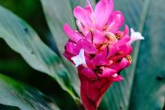 DSCF6132