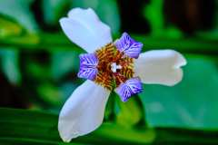 DSCF6136