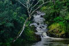 DSCF5522