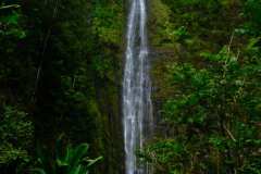 DSCF5215