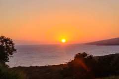 DSCF5498