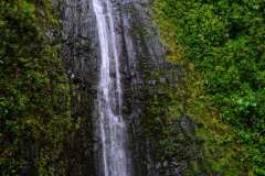 DSCF4149