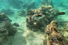 DCIM\100GOPRO\GOPR0561.JPG