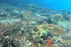DCIM\100GOPRO\GOPR1034.JPG