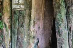 DSCF9521