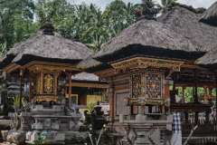 DSCF9894