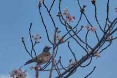 DSCF0007
