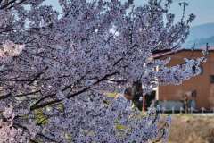 DSCF0024