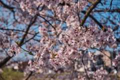 DSCF0025