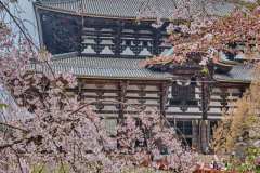 DSCF0060