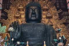 DSCF0062