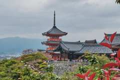 DSCF0299