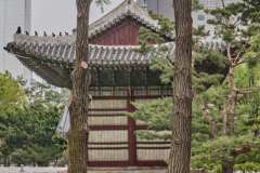 DSCF0356