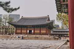 DSCF0361