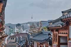 DSCF0487