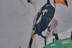 DSCF0502