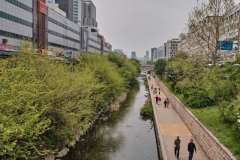 DSCF0534